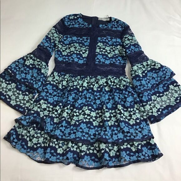 Dolly & Delicious Embroidered Lace Skater Dress - Picture 2 of 11